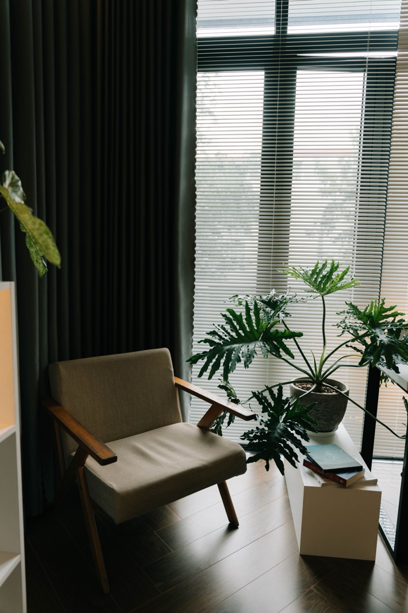 A calm, private therapy room with soft seating and plants